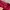 Coquette Casual Short Wanita burgundy red photo 4