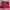 Coquette Casual Short Wanita burgundy red photo 5