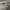 Le Coq Sportif Casual Sweatshirt Pria gray photo 3