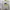 Pancoat Casual Sweatshirt Pria gray photo 1