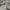 Pancoat Casual Sweatshirt Pria gray photo 3