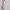 Muslim Casual dress Wanita silver gray photo 2