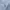 Polo Ralph Lauren Luxury Casual Formal shirt Pria white photo 4