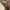 Klambi Atelier Tami dress Mocca Brown photo 5