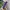 H&M Vintage Minimalist Shoulder bag Wanita purple photo 3