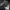 Compass Streetwear Minimalist Sneakers Pria gray photo 4