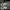 Compass Streetwear Minimalist Sneakers Pria gray photo 2