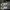 Compass Streetwear Minimalist Sneakers Pria Gray
