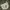 Carhartt Streetwear Bag Pria white photo 1