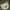 Carhartt Streetwear Bag Pria White