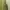 Uniqlo Casual Bodysuit Wanita green photo 6