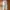 Polham Minimalist Sweatpants & Joggers Pria white photo 2