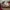 VANS Streetwear Skater Sneakers Pria white tan photo 2