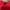 Independent Trucks Vintage Streetwear T-shirt Pria red photo 6
