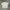 Mankind Streetwear Casual T-shirt Pria white photo 2