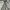 Armani	 Vintage Y2K Harrington jacket Pria cream photo 3