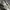 Armani	 Vintage Y2K Harrington jacket Pria cream photo 7