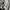 Armani	 Vintage Y2K Harrington jacket Pria cream photo 2