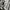 Armani	 Vintage Y2K Harrington Jacket Pria Cream