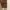 Uniqlo Casual Casual shirt Pria brown photo 5