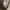Moncler Luxury Gorpcore Polo shirt Pria gray photo 2