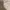 Moncler Luxury Gorpcore Polo shirt Pria gray photo 5