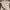 Moncler Luxury Gorpcore Polo shirt Pria gray photo 4
