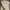 Moncler Luxury Gorpcore Polo shirt Pria gray photo 1