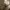 Moncler Luxury Gorpcore Polo shirt Pria gray photo 3