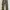 Mossy Oak Gorpcore Sportswear Jeans Pria Multicolor