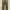 Mossy Oak Gorpcore Sportswear Jeans Pria Multicolor