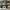 Nike Air Jordan Skater Sportswear Sneakers Pria white black photo 3