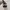 Adidas Casual Sneakers Wanita white black photo 4