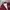 Converse Biker Casual Bomber jacket Pria burgundy red photo 2