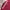 Converse Biker Casual Bomber jacket Pria burgundy red photo 5