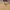 Spao Luxury Minimalist Formal shirt Pria multicolor photo 4