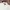 Tommy Hilfiger Luxury Minimalist Formal shirt Pria white photo 4