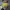 Cole Haan Gorpcore Sportswear Bag Pria green photo 1