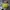 Cole Haan Gorpcore Sportswear Bag Pria Green