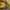 Cole Haan Gorpcore Sportswear Bag Pria green photo 4