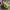 Cole Haan Gorpcore Sportswear Bag Pria green photo 3