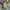 Cole Haan Gorpcore Sportswear Bag Pria green photo 2