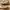 Puma Casual Sneakers Wanita white tan photo 2