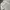 Spao Vintage Streetwear T-shirt Pria white photo 3
