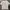 Spao Vintage Streetwear T-shirt Pria white photo 1