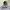 Thrasher Streetwear Skater Hoody Pria gray photo 2