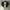 Visvim Streetwear Y2K Casual shoe Pria white navy photo 3