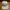 New Era Streetwear Y2K Hat Pria multicolor photo 1
