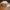 New Era Streetwear Y2K Hat Pria multicolor photo 2