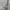United Colors of Benetton Luxury Casual Parka Pria cream photo 7